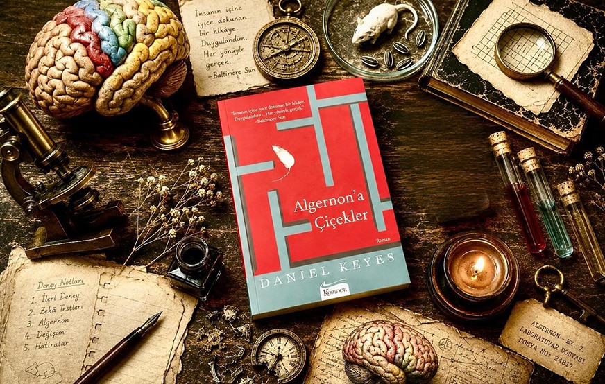 Algernon’a Çiçekler <br> İnsan Nasıl İnsan Kalır